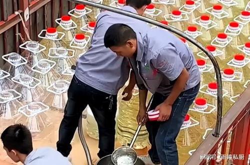 陈年老酒15最新爆料,探寻千年佳酿的神秘面纱